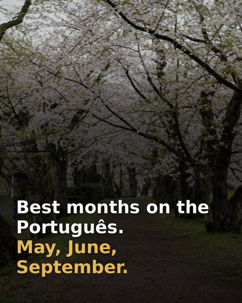 The best months on the Camino Português are May, June and September.