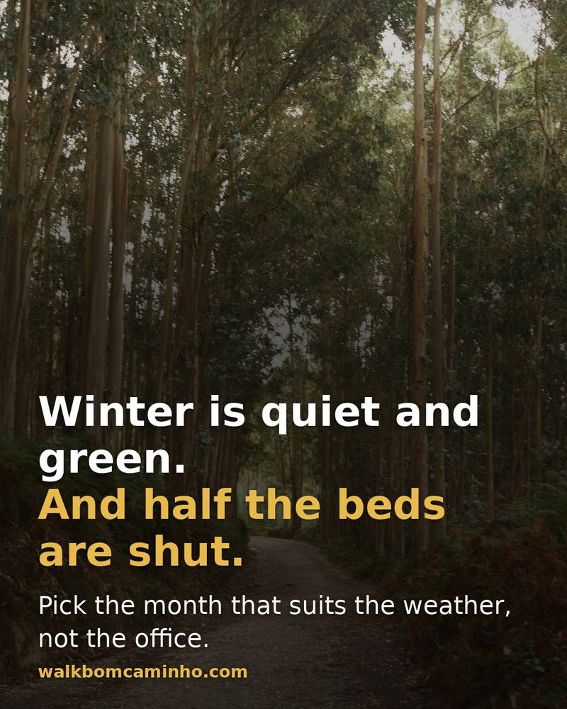 Winter is quiet and green, but half the beds are shut.