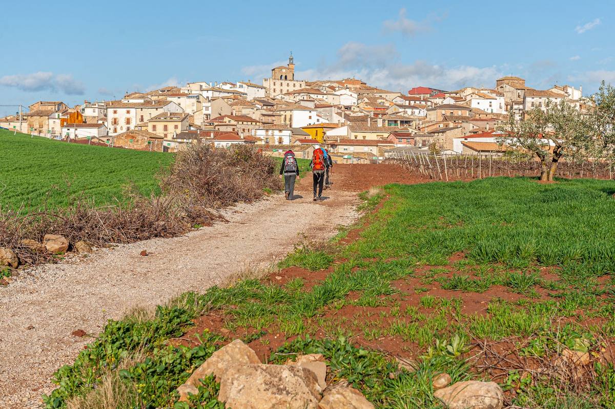 Two pilgrims with backpacks, seen from behind, walk a sunlit dirt track toward the hilltop village of Cirauqui on the Camino de Santiago