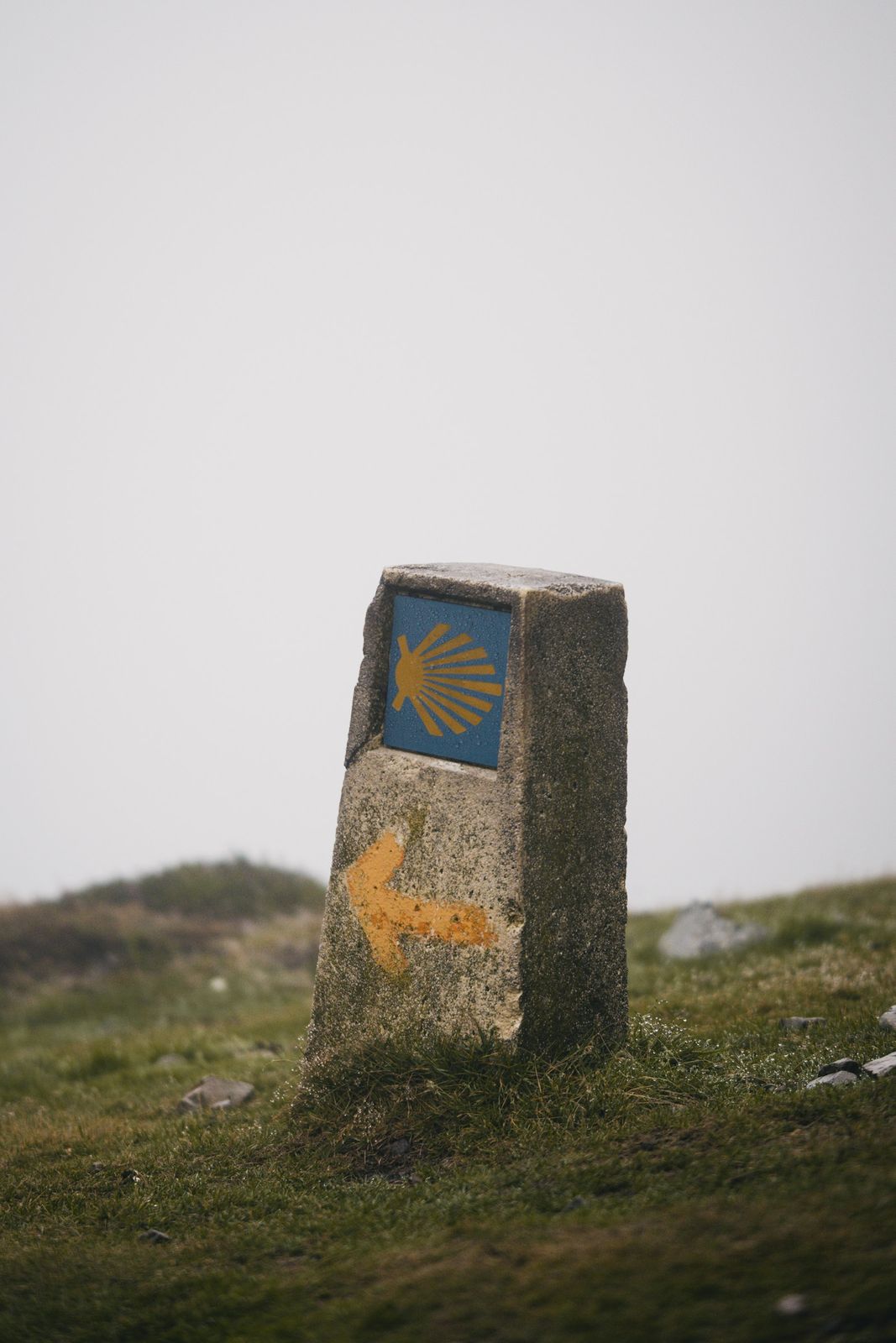 A stone Camino de Santiago waymarker painted with a scallop shell and yellow arrow beside a green woodland path