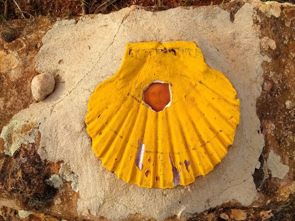 Yellow scallop shell of the Camino de Santiago mounted on weathered stone