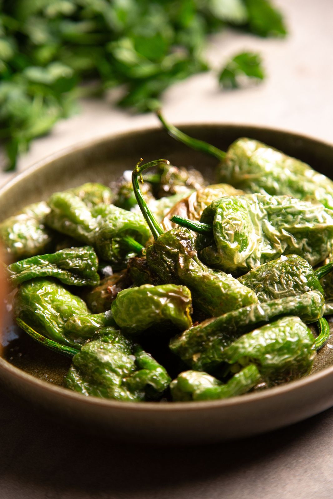 Blistered green Padron peppers with coarse salt served in a rustic bowl